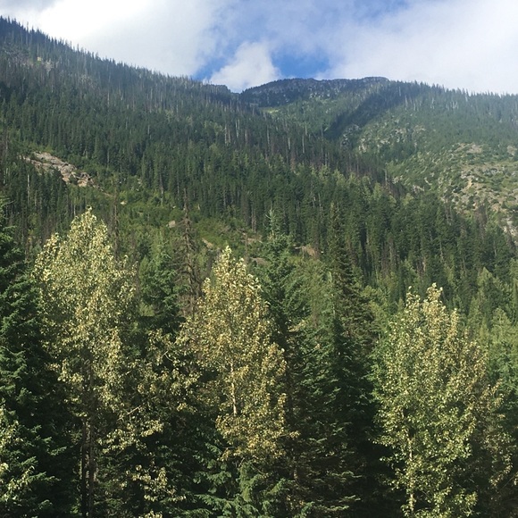 Meet your Posher, Chris - Picture 1 of 1